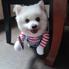 Killer Doll Pet Costume for Cats & Small Dogs | Funny Moving Knife Outfit