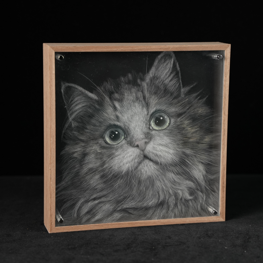 Framed hand-painted cat portrait with soft realistic fur details
